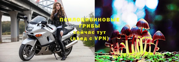 МДМА Алексеевка
