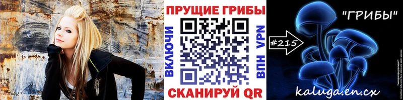 Псилоцибиновые грибы Cubensis где можно купить наркотик Сосенский